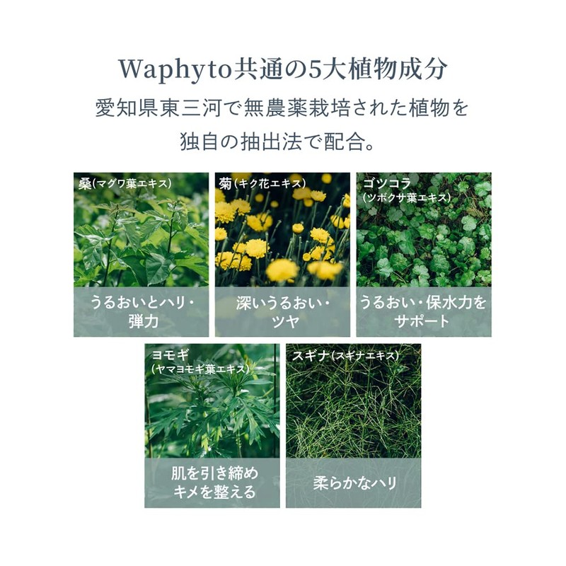 Waphyto Hand Wash Immerse 10.1 fl oz (300 ml) Moisturizing
