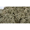 Raspberry Leaf Tea - 16Oz (REAL WILD HARVEST) | 100%
