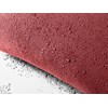 Rust-Oleum 278146 Shield H2O Outdoor Fabric Spray, 11 oz, Clear
