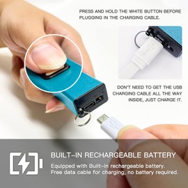 REAX Keychain USB Rechargeable with LED Flashlight