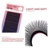 COAST GIRL 4D W Lashes Eyelash Extensions Premade Volume Fans