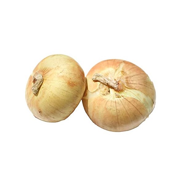Onion Sets, Sweet Delight,(30 Bulbs) Onion Sets - Organic,Heirloom -