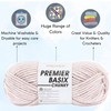 Premier Basix Chunky Knitting Yarn Blush 1145-19 (3-Pack) Same Dye