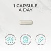 NAC Supplement, 600mg - 90 N-Acetyl-Cysteine Capsules- Vegan Friendly Amino