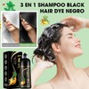 SINYI Champú Instant Hair Color para Cabello 500ml，Champú para Teñir