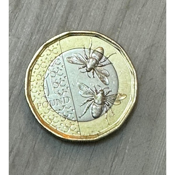 Double Sided Coin King Charles One Pound Version - Tails