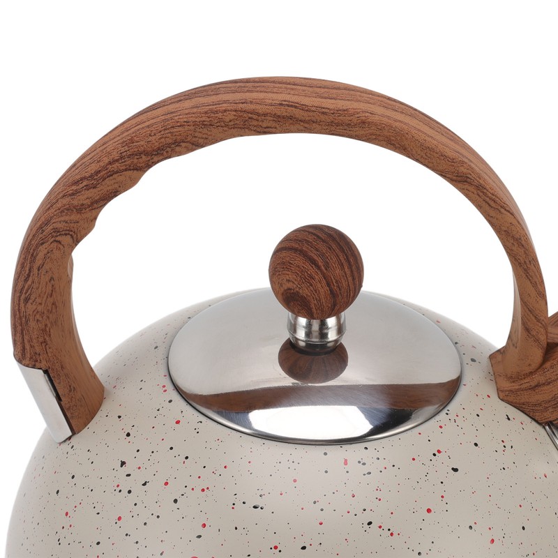 Whistling Kettle 2.5L Capacity Stainless Steel Stovetop Teapot for Water