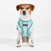 Puppia Theros Dog Harness A (Over-The-Head) Fashionable Striped Pattern Spring