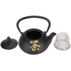 Iron Teapot Kettle Uncoated with Strainer 0.3L Tea and Zen