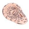 17cm Ear Point Probe 600pcs Auricular Patches Silicone Ear Model