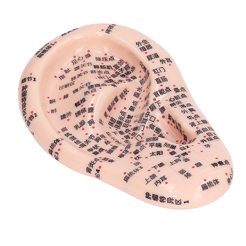 17cm Ear Point Probe 600pcs Auricular Patches Silicone Ear Model