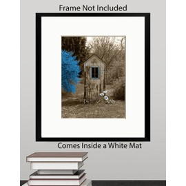 Bathroom Wall Decor, Rustic Modern Farmhouse Outhouse Daisy Flowers Photography Blue Brown Wall Art (8x10 photo with 11x14 mat, Blue)