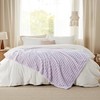Bedsure Bedsure Lavender Fog Twin Blanket for Bed - GentleSoft