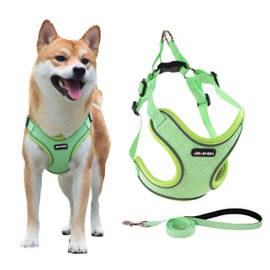 JdotMIN Plaid Dog Harness and Leash Set, Extra-Small/Small to Medium Dog and Cat Vest Harness No Pull, Escape Proof, For Walking Puppy and Kitten, For Travel and Car (Green-Adj, S)