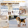 TZL Calcetines Antideslizantes para Perros con Doble Agarre para Suelos