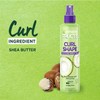 Garnier Fructis Curl Shape Defining Spray Gel, Coconut Water, 8.5