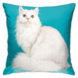 dadabuliu Cushion Cover, 17.7 x 17.7 inches (45 x 45 cm), Body Pillow Cover, Long Hair, White Cats, Blue, Cute Persian Cat, Soft, Cute, Stylish, Sofa Back Cover, Room Miscellaneous Goods, Home Use, Office, Hotel, Car Seat Cover Interior Decoration