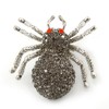 Dim Grey Pave-set Diamante 'Spider' Brooch In Burn Silver -
