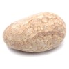 Gold Stone Himekawa Yakuseki Itoigawa Natural Stone, 1 Piece, 0.44-0.55