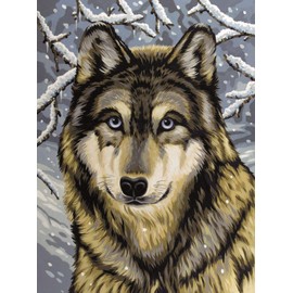 MAMMUT 105067 - Malen nach Zahlen Tiermotiv, Wolf, Komplettset mit bedruckter Malvorlage im A4 Format, 7 Acrylfarben und Pinsel, Malset für Kinder ab 8 Jahre