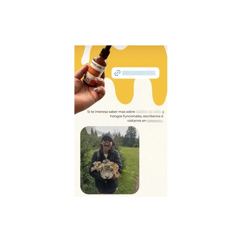Hongo Adaptógeno Melena De León 50ml Sporo Extracto Líquido