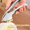 Premium Garlic Press, Heavy Duty Stainless Steel Garlic Crusher and