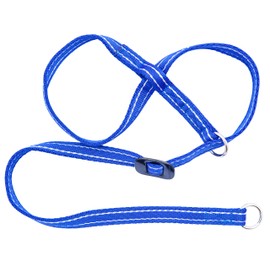 Gencon Medium Headcollar Left Blue/White