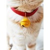 Cat Collar with Bell, Cat Collar, Cat Collar, Simple, Cute,