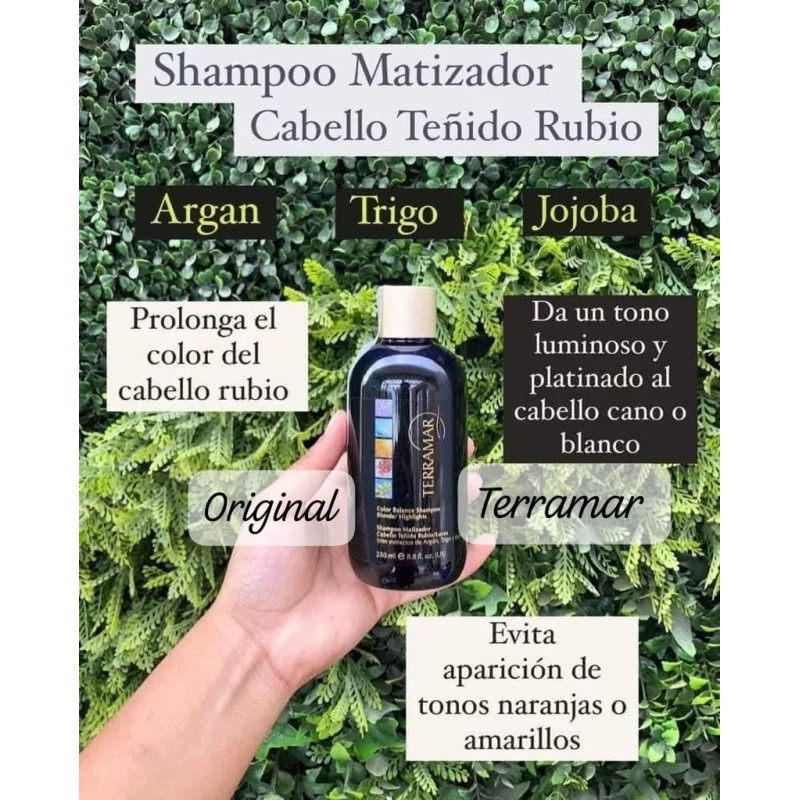 Terramar Shampoo Matizador Cabello Teñido Rubio/luces