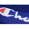 Champion 5065003800 Sports Towel, Approx. 13.4 x 43.3 inches (34