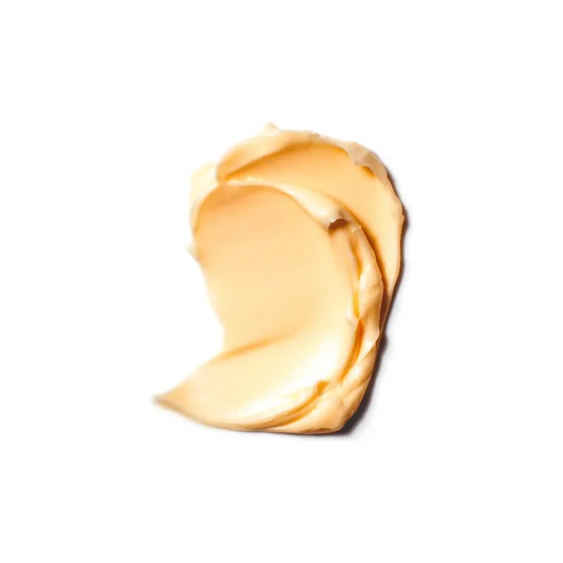 L'oréal Paris Skincare Age Perfect Hydra-nutrition Crema