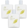꽃을든남자 옴므 (1+1+1) 로션 x3개 Flower Holding Man Homme (1+1+1) Lotion x3개