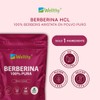 Wellthy Pure Berberine 500mg Supplement – 100% Berberis Aristata, 40