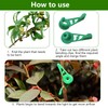 Pack of 90 Plant Benders, Plant Growth Bender Clips, Small