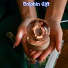 IFOLAINA Dolphin Gift 3D Dolphins Figurines in Crystal Ball 60mm