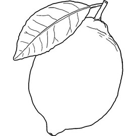 'Lemon' Rubber Stamp - Unmounted Design for Crafting & Scrapbooking, A8 (RS00038089)