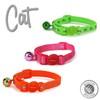 Ancol Hi-Vis Cat Collar Orange