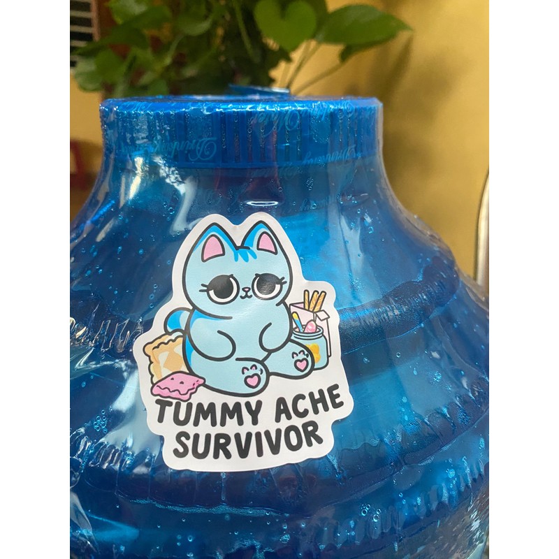 Pack 3" Tummy Ache Survivor Cute Cat Sticker Meme Funny