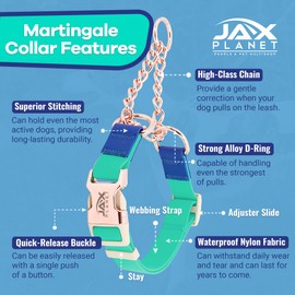 Jelly Waterproof Martingale Dog Collar, No Pull Nylon Collar with Alloy Metal Buckle & D-Ring for Outdoor Training and Walking, Anti Pull, Escape Free, One Time Adjustment - Turquoise & Blue, M