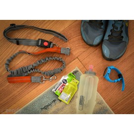 Zenify Hands Free Dog Lead for Running, Walking, Hiking, Canicross Dual Handle Comfortable Waist Belt Leash Band Reflective Stitching Adjustable Bungee Length Extendable 125cm - 190cm (Grey/Orange)