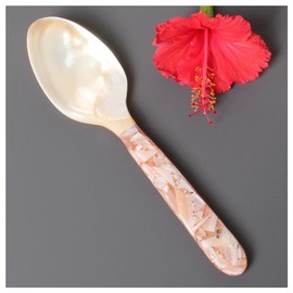 Hrlace 16 cm Mother of Pearl Spoon Caviar Spoon Egg Spoon Handmade Sea Mother of Pearl Natural Product Freshwater Clam Mother of Pearl Caviar Spoon Natural Bowl Spoon for Caviar Egg Ice Cream Coffee