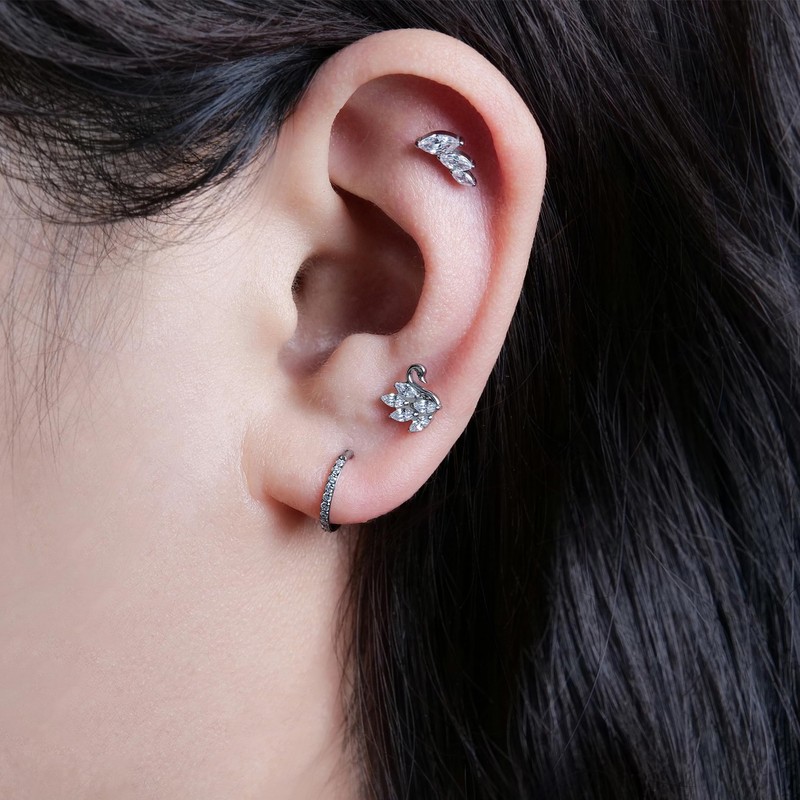 Limerencia Hypoallergenic G23 Implant Grade Titanium Screw Back Earrings Tragus