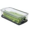 ProKeeper+ by Progressive Stackable Produce ProKeeper Storage Container with Stay-Fresh