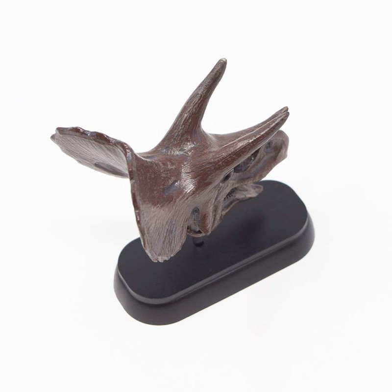73502 Dinosaur Triceratops Skull Mini Model (FDW – 502)
