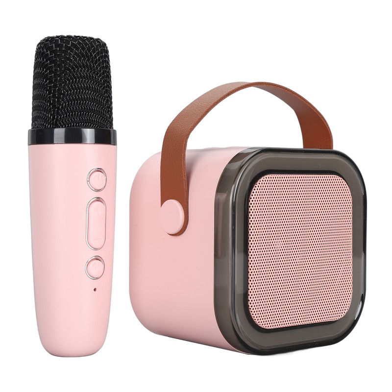 Portable Karaoke Machine LED Dynamic Light Small Bluetooth Speaker with