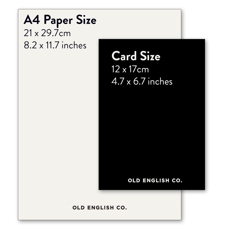 Old English Co. White Lily Flower Sympathy Cards - Thinking