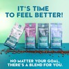 Organic Lion's Mane & Chaga Mushroom Coffee Ground Dark Roast,