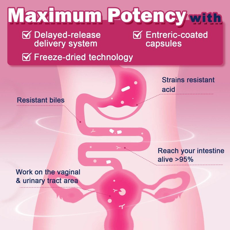 Zebora Vaginal Probiotics for Women 100 Billion CFUs, Probiotic for