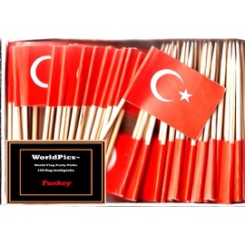 One Box of 100 Country Toothpick Flags, 100 Small Mini International Flag Cupcake Toothpicks or Cocktail Picks (Turkey)
