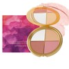 아이앤치크 하이라이터 블러셔 팔레트 4in1 I & Cheek Highlighter Blush